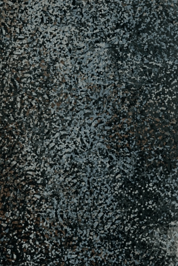 Holografie-Klebefolie 50 x 100 cm schwarz