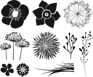 Stempel-Set Blumen 12 x 10 x 3 cm