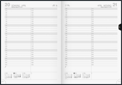 Tageskalender Buchkalender 2022 Blattgröße 21 x 29,7 cm A4