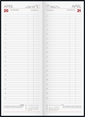 Tageskalender Tischkalender 2022 Blattgröße 10,8 x 29,7 cm